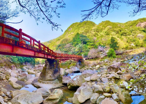 話題の近大マグロ!赤身食べ比べ&熊野牛すき焼きのご昼食と、わかやまグルメとれとれぴちぴちてんこもり♪【藤井寺・富田林・河内長野・三日市発】2